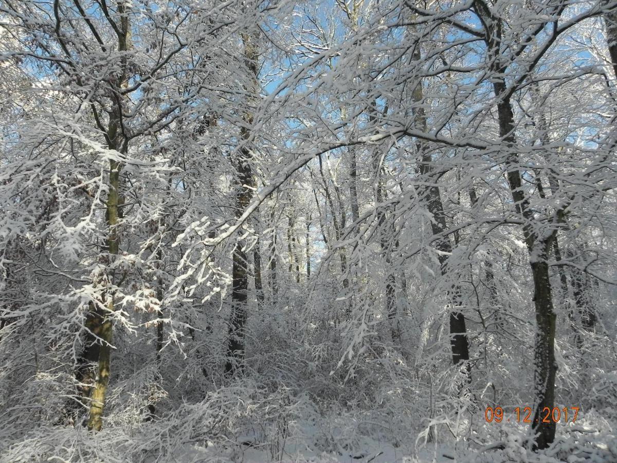 Gite 3 Frontieres Hagenthal-le-Bas Exterior foto